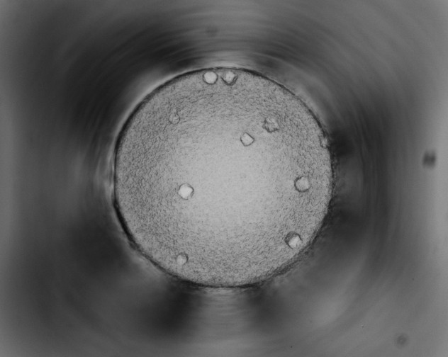 X0000103901132200810311403