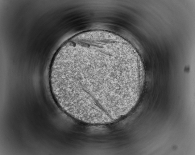 X0000103901133200810311404