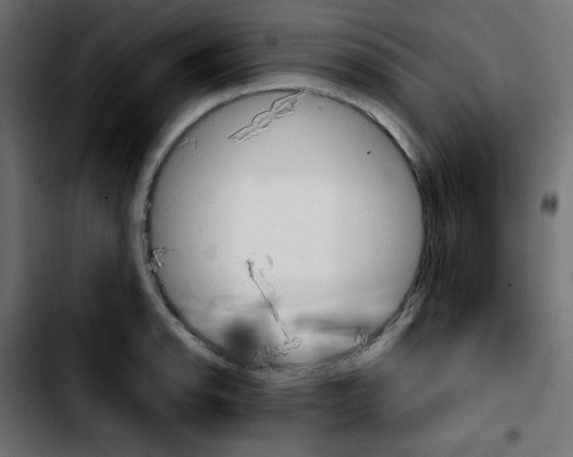 X0000103901134200810311404