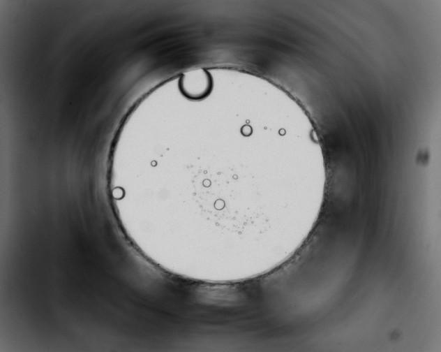 X0000103901135200810311404