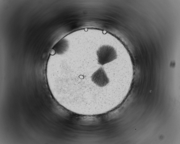 X0000103901137200810311404