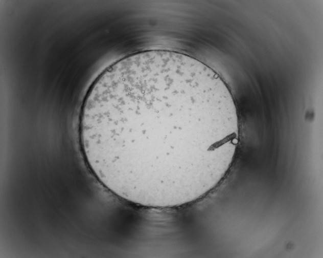 X0000103901138200810311404