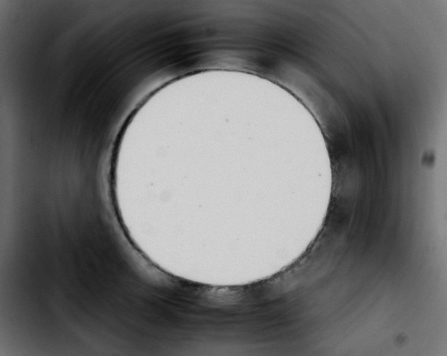 X0000103901139200810311404