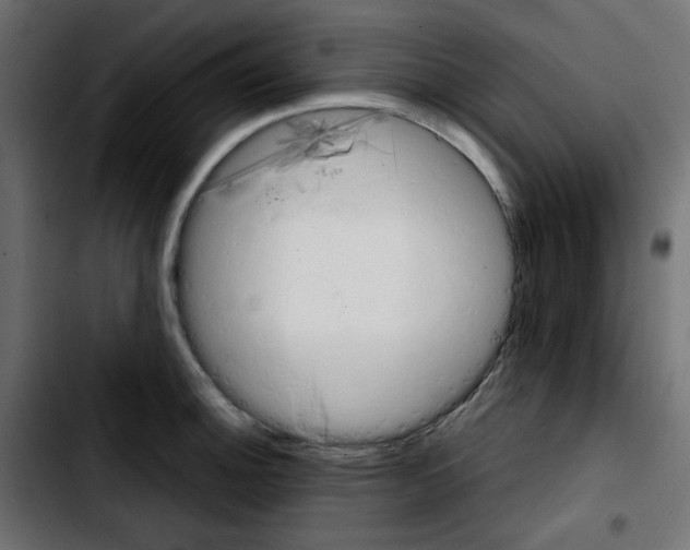 X0000103901140200810311404