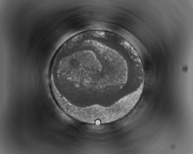 X0000103901141200810311404