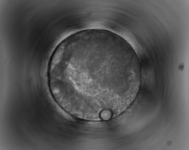 X0000103901142200810311404