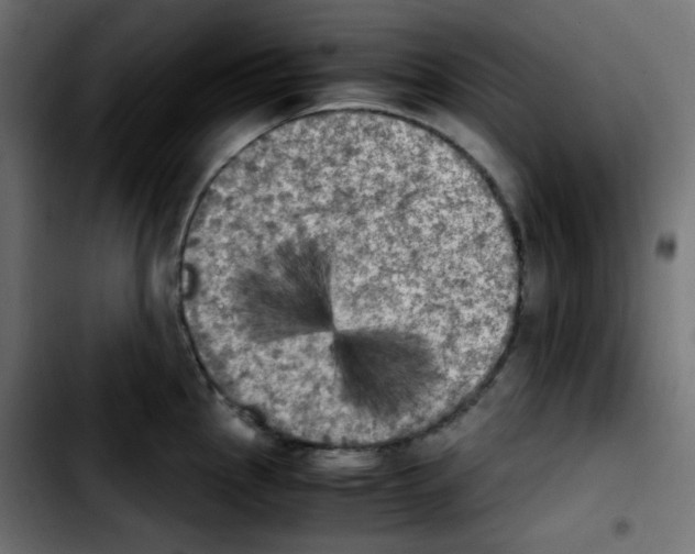 X0000103901145200810311404