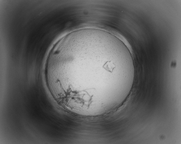 X0000103901146200810311404