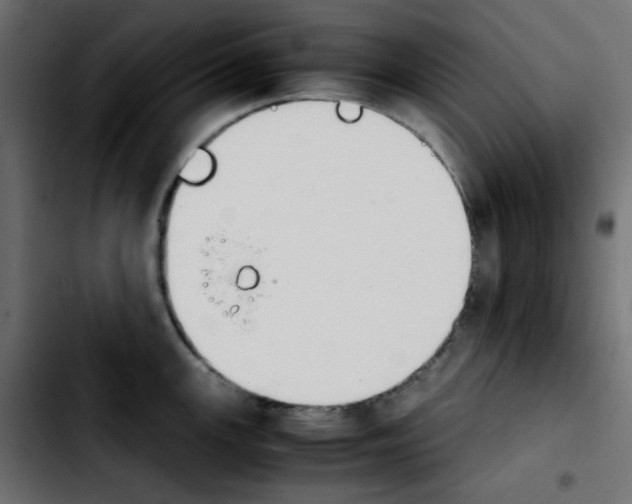 X0000103901147200810311404