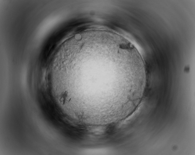 X0000103901150200810311404