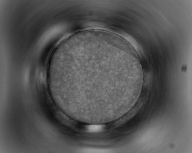 X0000103901151200810311404