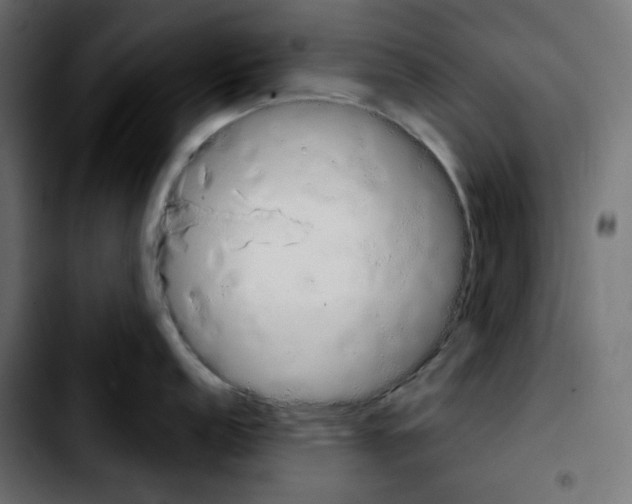 X0000103901152200810311404