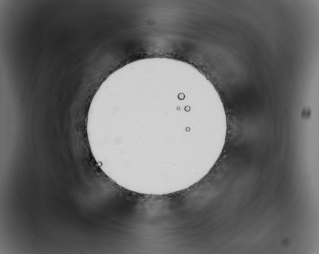 X0000103901153200810311403