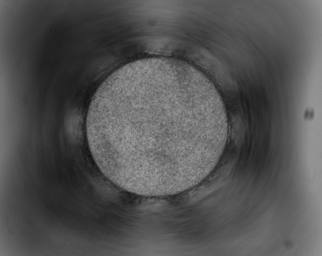 X0000103901154200810311403