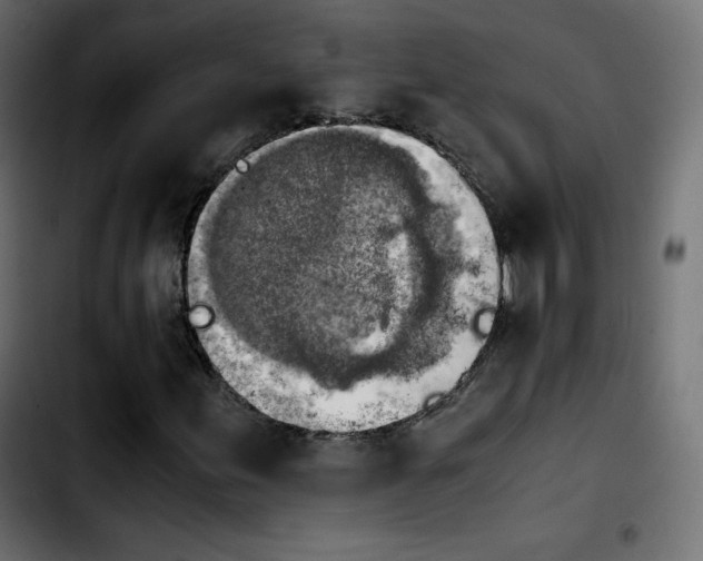 X0000103901155200810311403