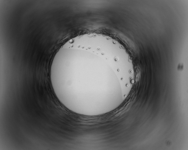 X0000103901156200810311403