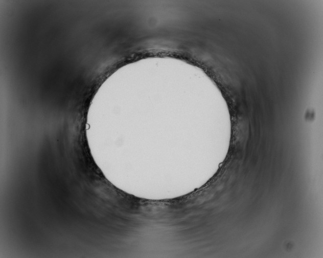 X0000103901157200810311403