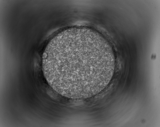 X0000103901158200810311403