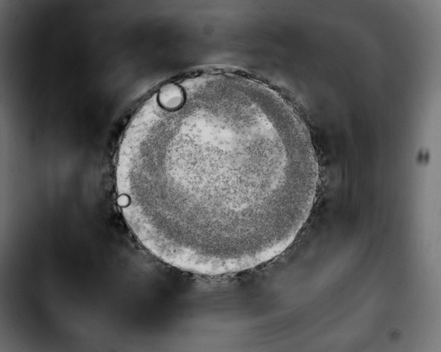 X0000103901159200810311403