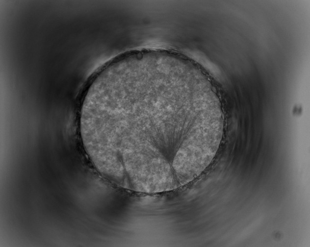 X0000103901160200810311403