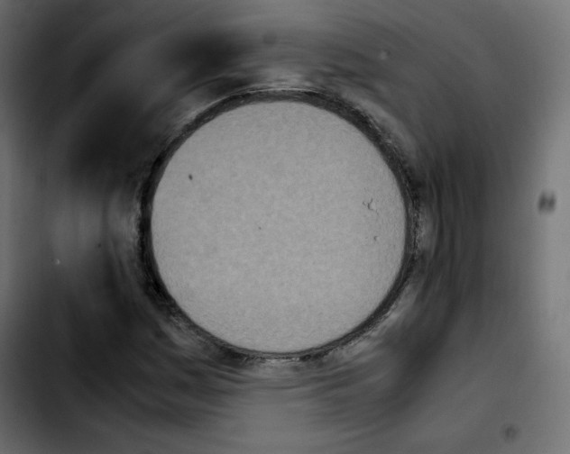 X0000103901161200810311403