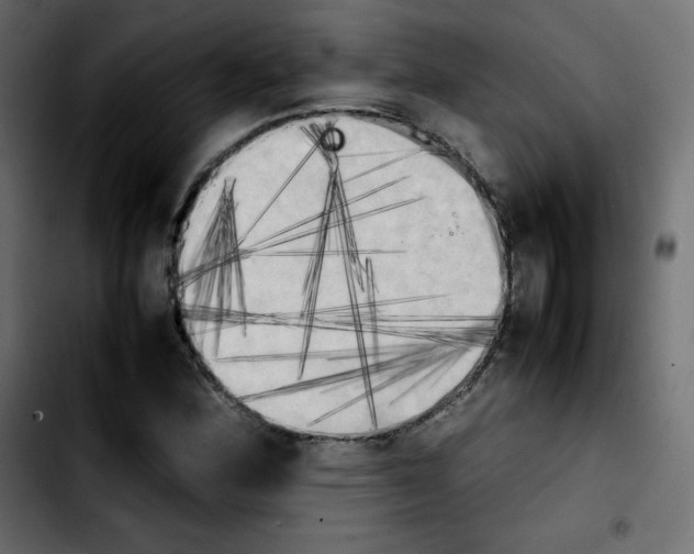 X0000103901164200810311403