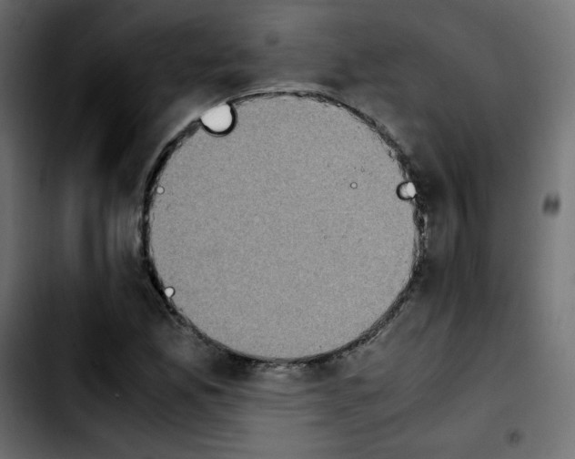 X0000103901165200810311403