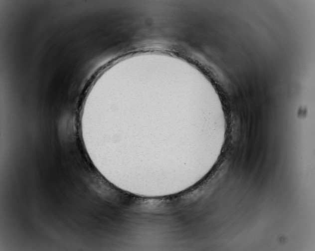 X0000103901166200810311403