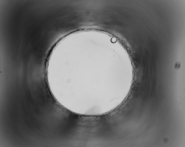 X0000103901167200810311403