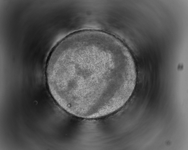 X0000103901168200810311403