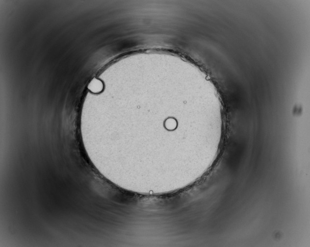 X0000103901169200810311403