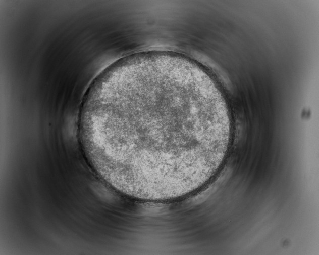 X0000103901170200810311403