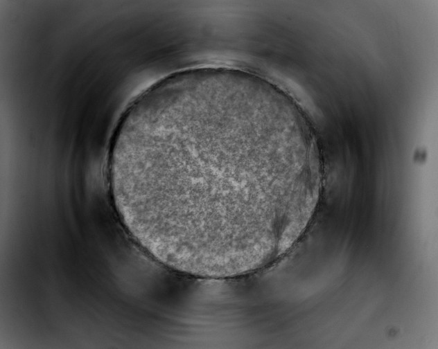 X0000103901172200810311403