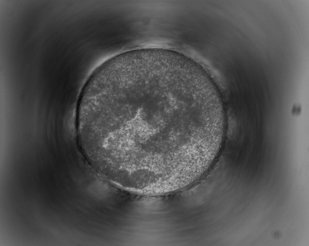 X0000103901174200810311403