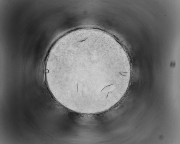 X0000103901175200810311403