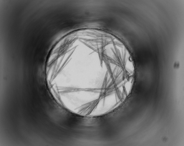 X0000103901176200810311403