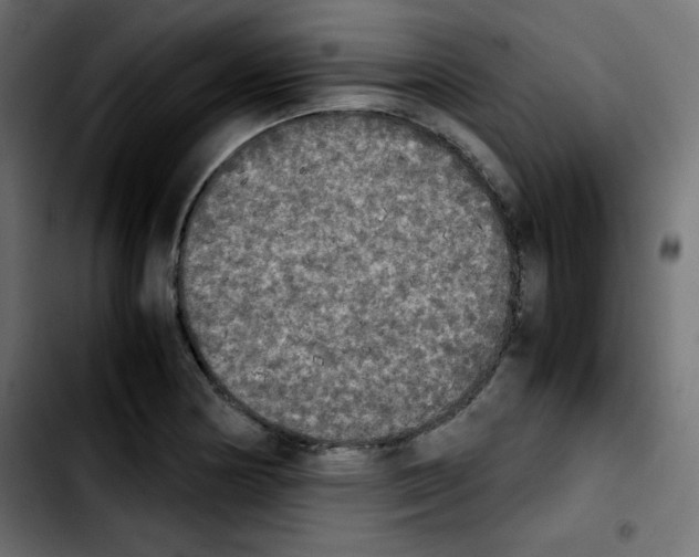 X0000103901178200810311403