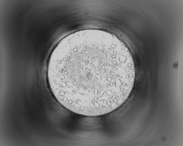 X0000103901179200810311403