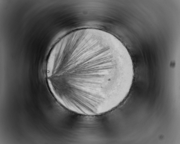 X0000103901180200810311403