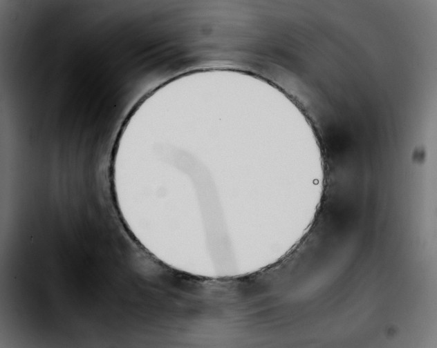 X0000103901181200810311403