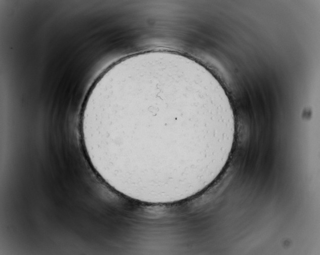 X0000103901182200810311403