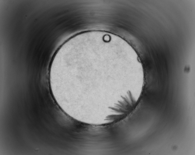 X0000103901184200810311403