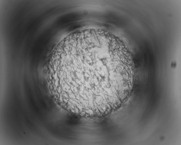 X0000103901185200810311403