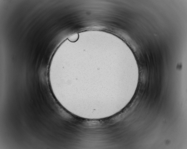 X0000103901186200810311403