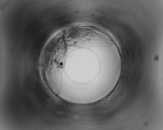 X0000103901187200810311403