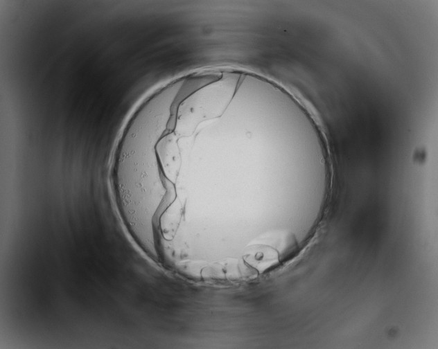 X0000103901189200810311403