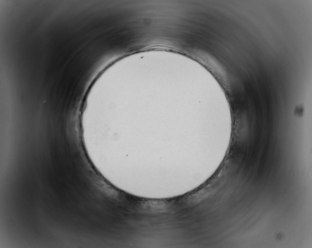 X0000103901190200810311403