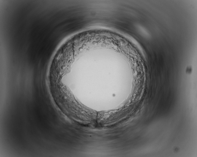 X0000103901191200810311403