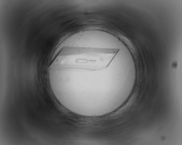 X0000103901193200810311402