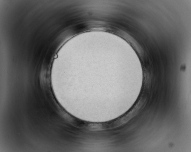 X0000103901194200810311402